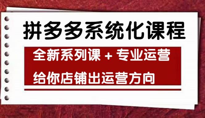 车神陪跑，拼多多系统化课程，全新系列课+专业运营给你店铺出运营方向_网创掘金