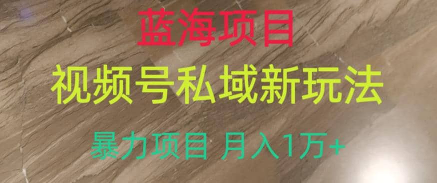 蓝海项目，视频号私域新玩法，暴力项目月入1万+【揭秘】_网创掘金