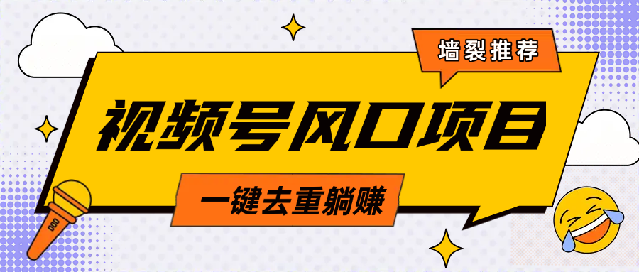 视频号风口蓝海项目，中老年人的流量密码，简单无脑，一键去重，轻松月入过万_网创掘金
