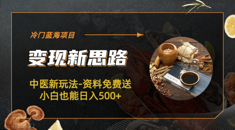 冷门蓝海项目-中医新玩法-冷门蓝海项目-中医新玩法-资料免费送小白也能日入500+500+_网创掘金