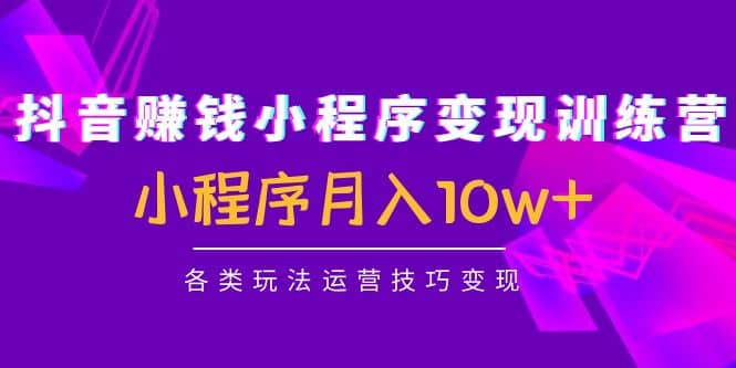 抖音小程序变现训练营：小程序各类玩法运营技巧变现_网创掘金