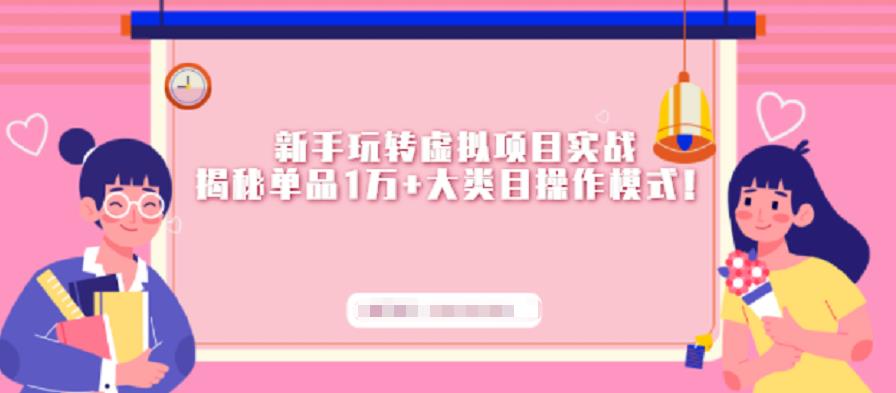 新手玩转虚拟项目实战，揭秘单品1万+大类目操作模式【视频课程】_网创掘金