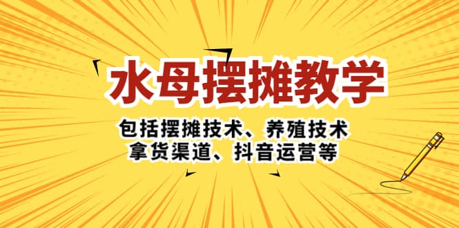 水母·摆摊教学，包括摆摊技术、养殖技术、拿货渠道、抖音运营等_网创掘金