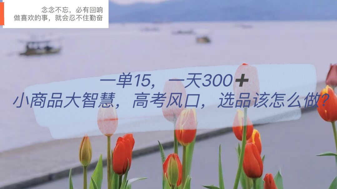 一单15，一天300+，小商品大智慧，高考风口，选品该怎么布局_网创掘金