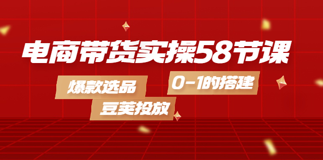 电商带货实操58节课，爆款选品，豆荚投放，0-1的搭建_网创掘金