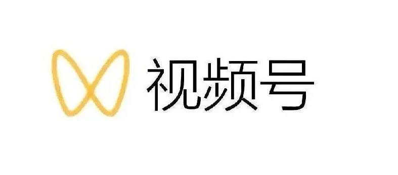 最新视频号解读，视频号真相+变现玩法【视频课程】_网创掘金