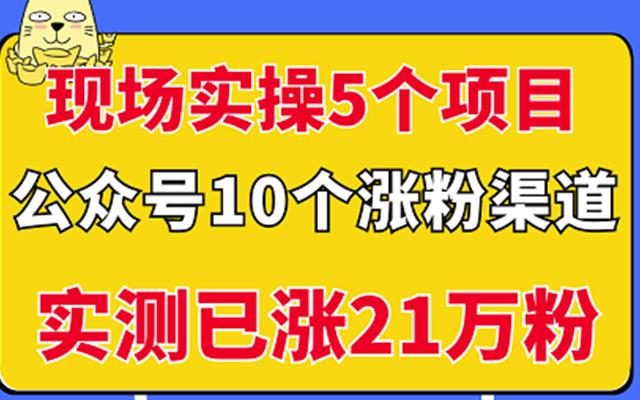 现场实操5个公众号项目，10个涨粉渠道，实测已涨21万粉！_网创掘金
