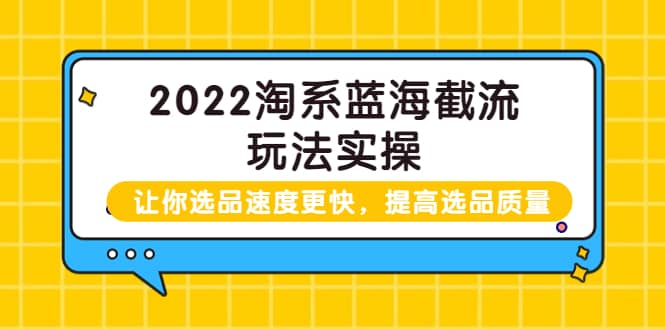 2022淘系蓝海截流玩法实操：让你选品速度更快，提高选品质量（价值599）_网创掘金