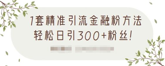 1套精准引流金融粉方法，轻松日引300+粉丝【视频课程】_网创掘金