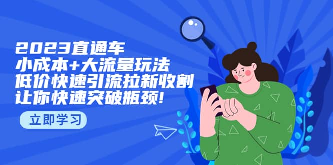 2023直通小成本+大流量玩法，低价快速引流拉新收割，让你快速突破瓶颈_网创掘金