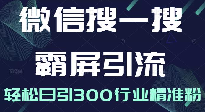 微信搜一搜霸屏引流课，打造被动精准引流系统，轻松日引300行业精准粉【无水印】_网创掘金