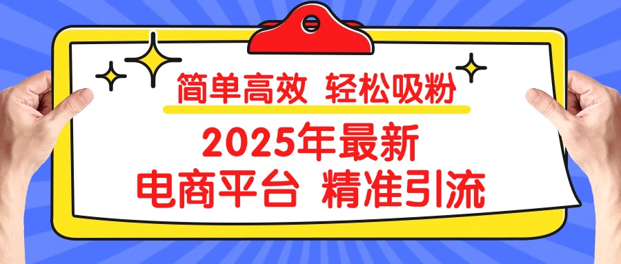 2025年最新电商平台精准引流 简单高效 轻松吸粉_网创掘金