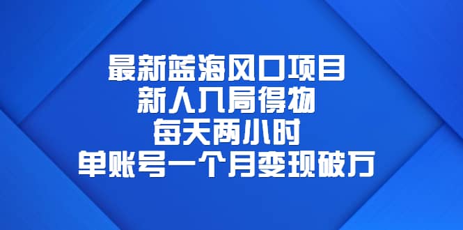最新蓝海风口项目，新人入局得物，每天两小时，单账号一个月变现破万_网创掘金