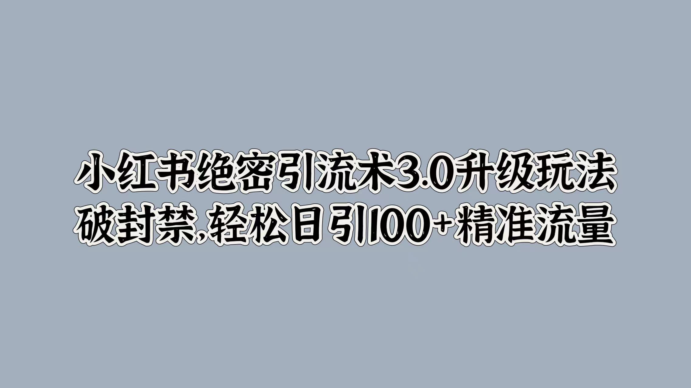 小红书绝密引流术3.0升级玩法，破封禁，轻松日引100+精准流量_网创掘金