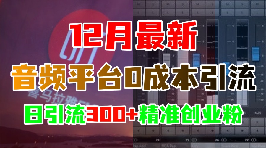 12月最新：音频平台0成本引流，日引300+精准创业粉_网创掘金
