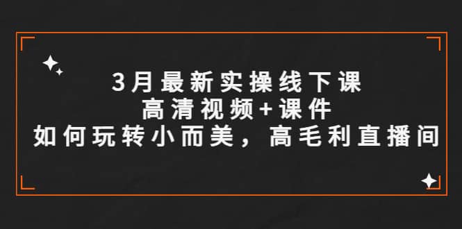 3月最新实操线下课高清视频+课件，如何玩转小而美，高毛利直播间_网创掘金