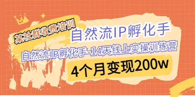 某社群收费培训：自然流IP 孵化手-14天线上实操训练营 4个月变现200w_网创掘金
