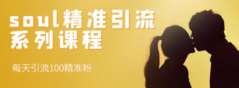soul精准引流系列课程，每天引流100精准粉_网创掘金