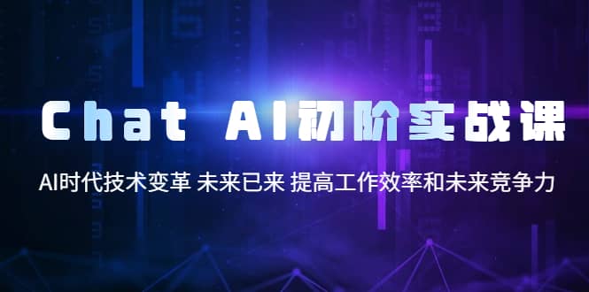 Chat AI初阶实战课，AI时代技术变革 未来已来 提高工作效率和未来竞争力_网创掘金