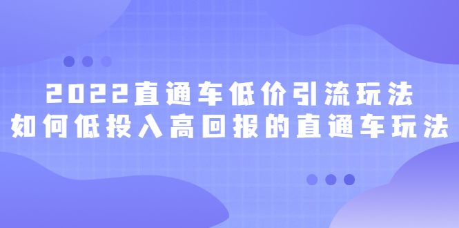 2022直通车低价引流玩法，教大家如何低投入高回报的直通车玩法_网创掘金