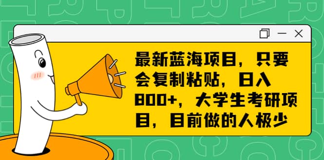 最新蓝海项目，只要会复制粘贴，日入800+，大学生考研项目，目前做的人极少_网创掘金