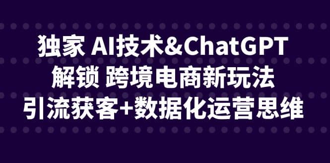 独家 AI技术ChatGPT解锁 跨境电商新玩法，引流获客+数据化运营思维_网创掘金