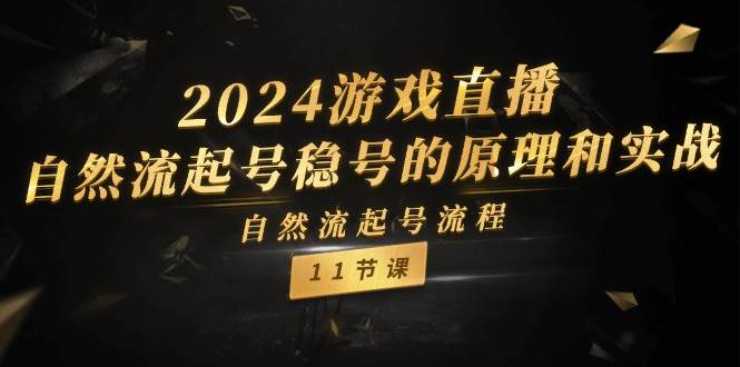 2024游戏直播-自然流起号稳号的原理和实战，自然流起号流程（11节）_网创掘金