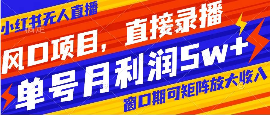 风口项目，小红书无人直播带货，直接录播，可矩阵，月入5w+_网创掘金