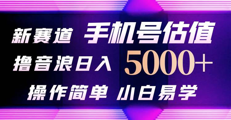 抖音不出境直播【手机号估值】最新撸音浪，日入5000+，简单易学，适合…_网创掘金