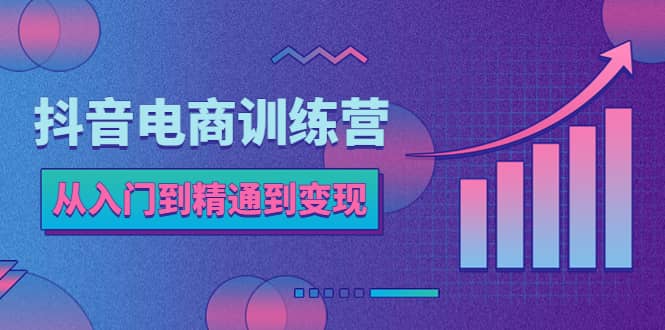 抖音电商训练营：从入门到精通，从账号定位到流量变现，抖店运营实操_网创掘金