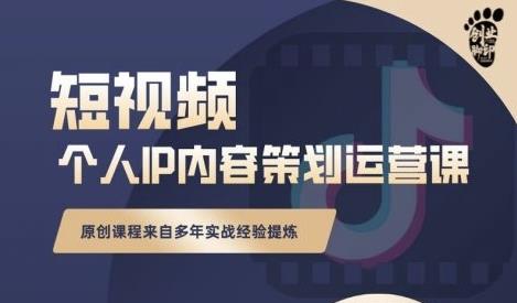 抖音短视频个人ip内容策划实操课，真正做到普通人也能实行落地_网创掘金