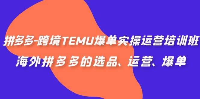 拼多多-跨境TEMU爆单实操运营培训班，海外拼多多的选品、运营、爆单_网创掘金