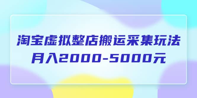 淘宝虚拟整店搬运采集玩法分享课：月入2000-5000元（5节课）_网创掘金