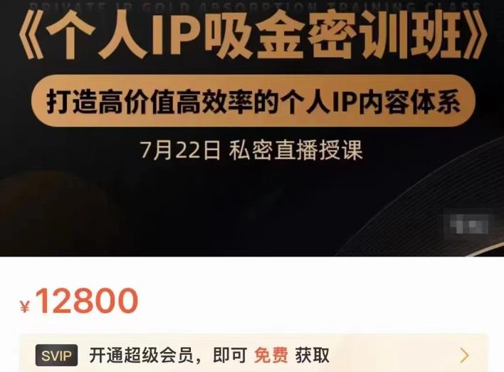 个人IP吸金密训班，打造高价值高效率的个人IP内容体系（价值12800元）_网创掘金