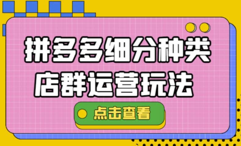 拼多多细分种类店群运营玩法3.0，11月最新玩法，小白也可以操作_网创掘金
