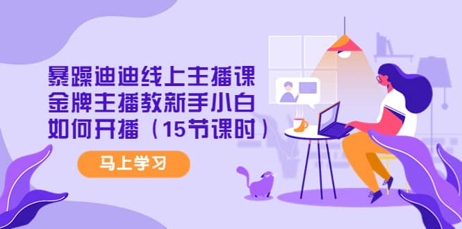 暴躁迪迪线上主播课，金牌主播教新手小白如何开播（15节课时）_网创掘金