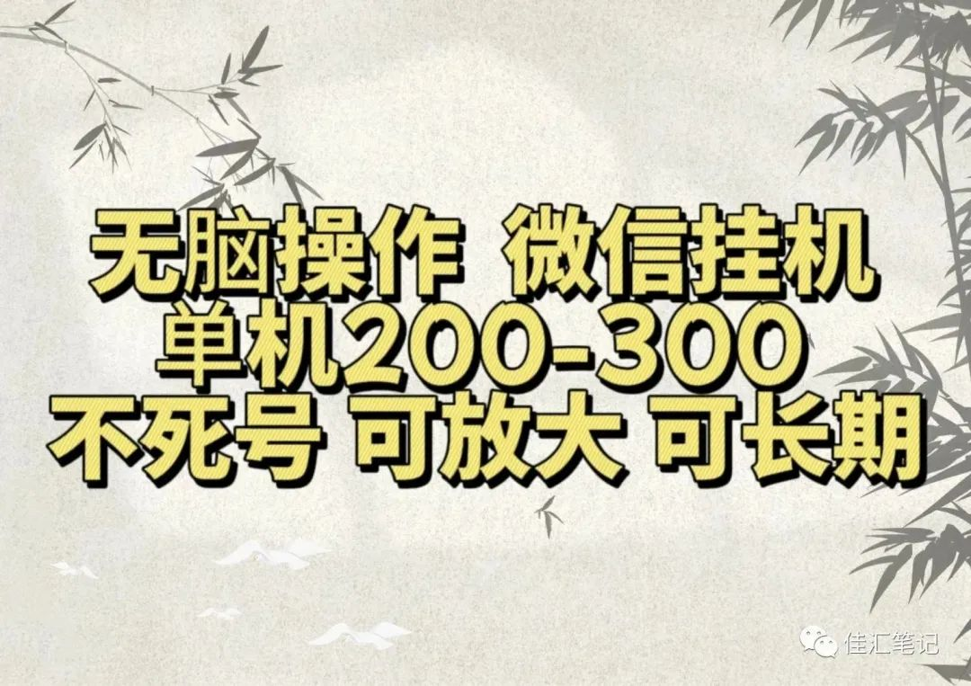 无脑操作微信视频号挂机单机200-300一天，不死号，可放大，工作室实测_网创掘金