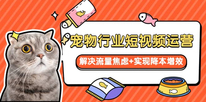宠物/行业短视频运营 流量增长的一层窗户纸 解决流量焦虑+实现降本增效_网创掘金