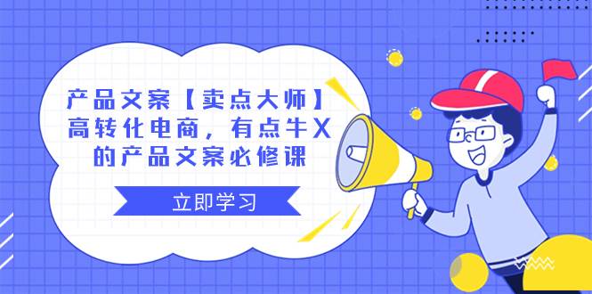 产品文案【卖点大师】高转化电商，有点牛X的 产品文案必修课_网创掘金