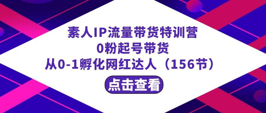 繁星·计划素人IP流量带货特训营：0粉起号带货 从0-1孵化网红达人（156节）_网创掘金