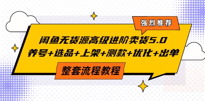 闲鱼无货源高级进阶卖货5.0，养号+选品+上架+测款+优化+出单整套流程教程_网创掘金