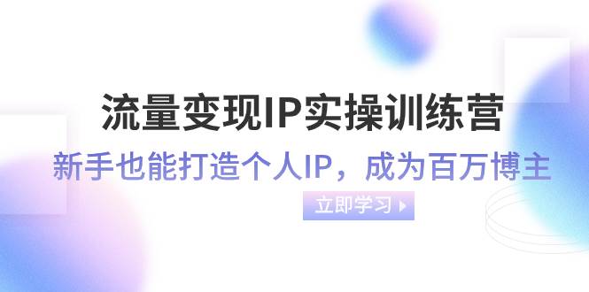 流量变现-IP实操训练营：新手也能打造个人IP，成为百万博主（46节课）_网创掘金