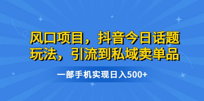 风口项目，抖音今日话题玩法，引流到私域卖单品，一部手机实现日入500+_网创掘金