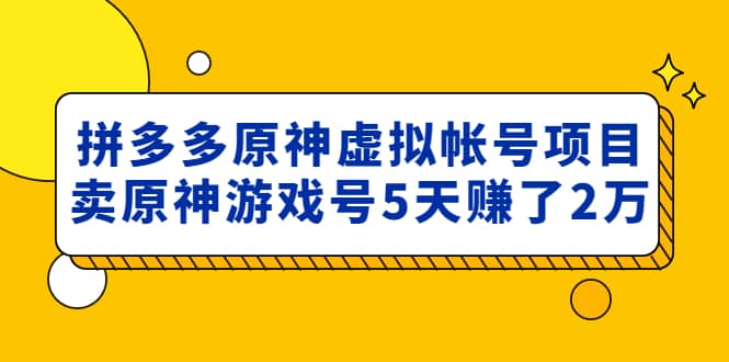 外面卖2980的拼多多原神虚拟帐号项目_网创掘金