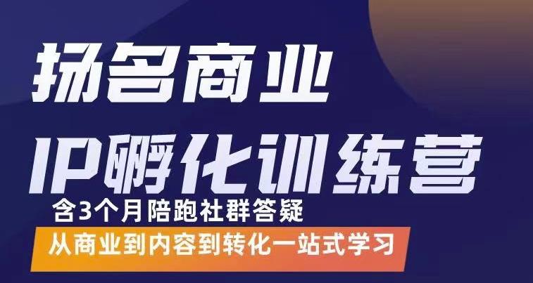 杨名商业IP孵化训练营，从商业到内容到转化一站式学 价值5980元_网创掘金