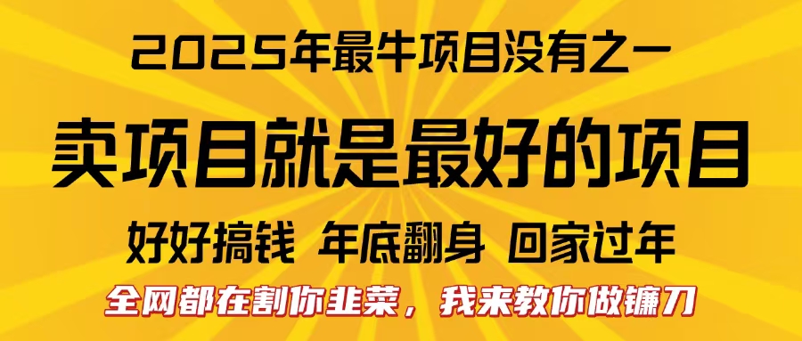 全网都在割你韭菜，我来教你做镰刀。卖项目就是最好的项目，2025年最牛互联网项目_网创掘金