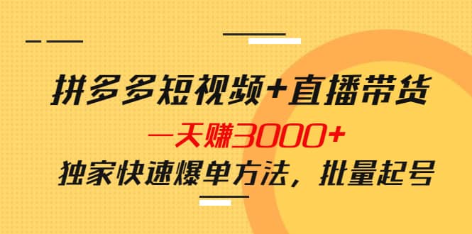 拼多多短视频+直播带货，一天赚3000+独家快速爆单方法，批量起号_网创掘金