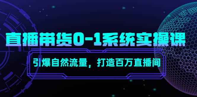 直播带货0-1系统实操课，引爆自然流量，打造百万直播间_网创掘金