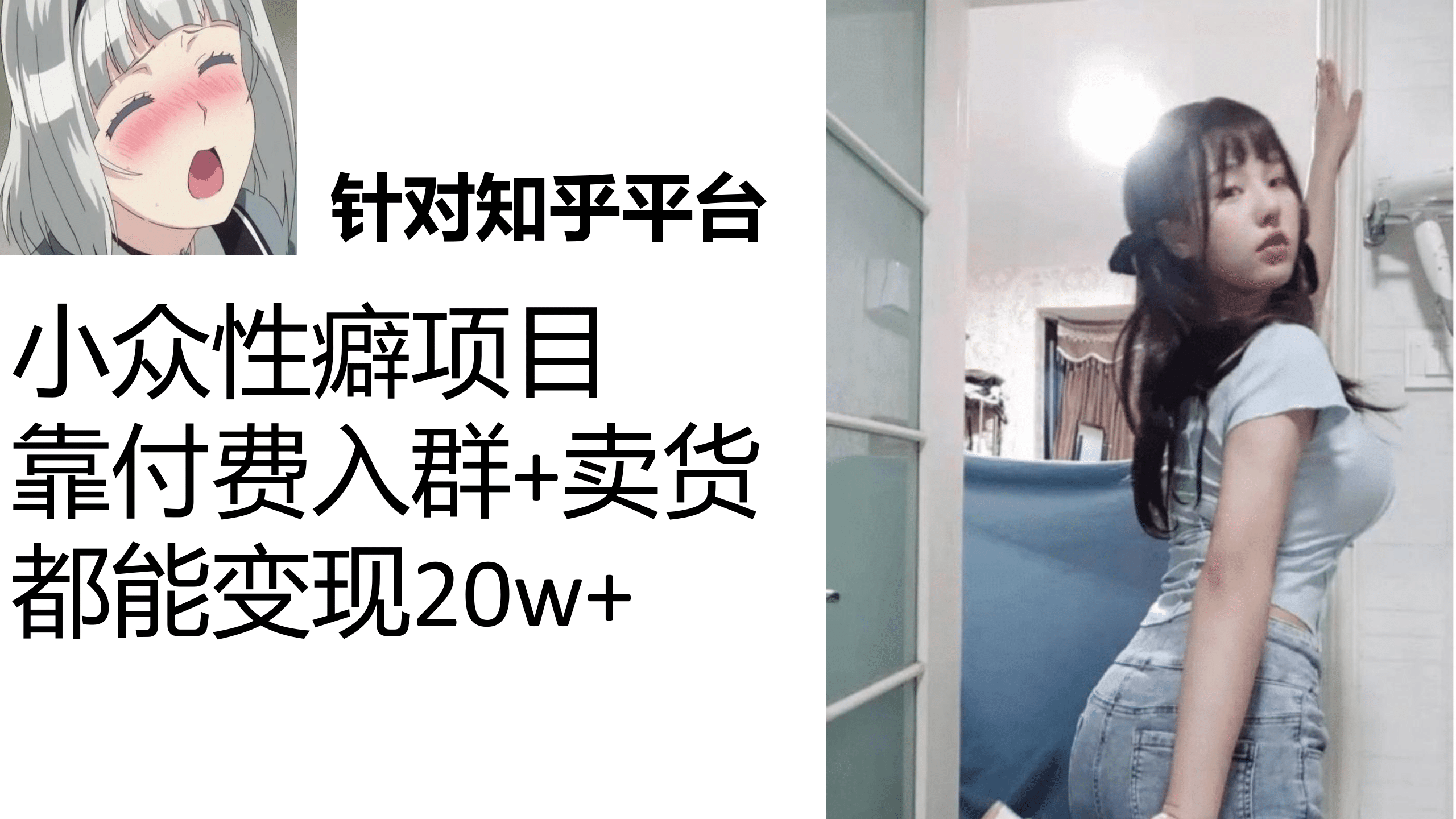 知乎小众性癖项目，Lsp的钱才是最好赚的，付费建群+卖货变现20w_网创掘金