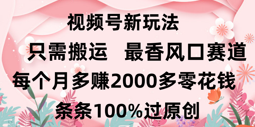 日入2000+，条条100%过原创，视频号最香风口赛道，小白轻松上手_网创掘金